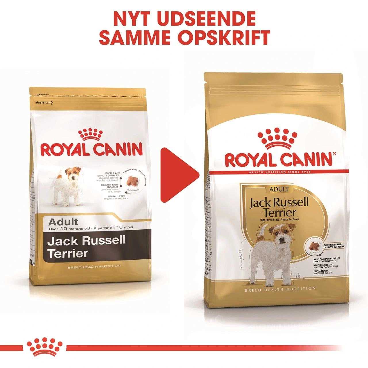 Royal Canin Jack Russell Adult 1,5 kg - tørfoder til voksne hunde